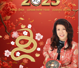 Are you ready for the Yin Wood Snake year?