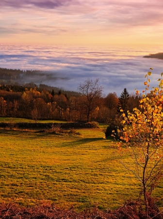 The Autumn Equinox: A Time of Balance, Renewal, and Inner Alignment