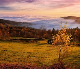 The Autumn Equinox: A Time of Balance, Renewal, and Inner Alignment